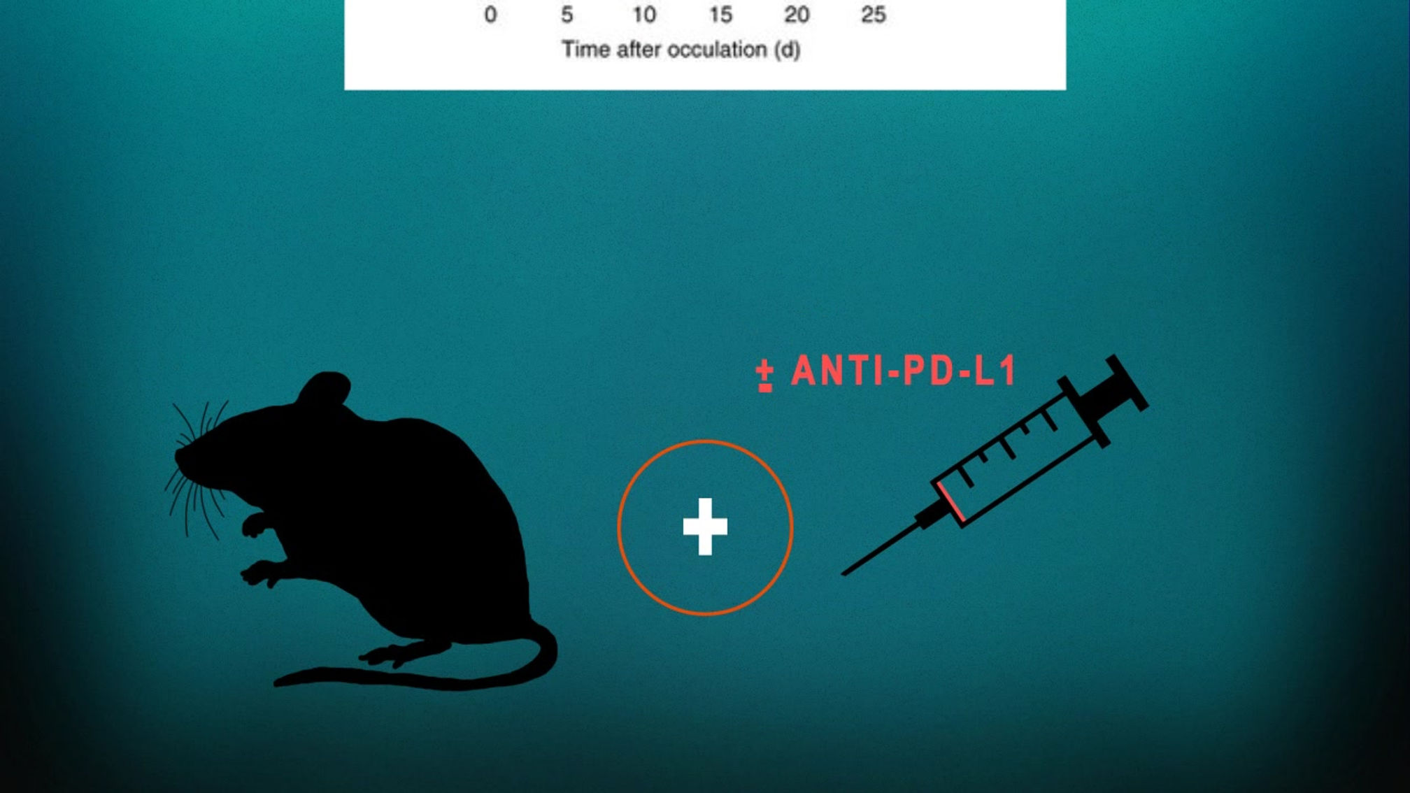 T-reg Apoptosis Role in Cancer